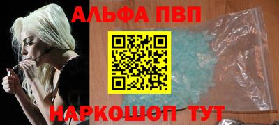 СК Кингисепп