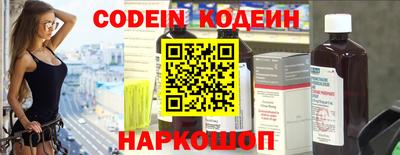 СК Кингисепп
