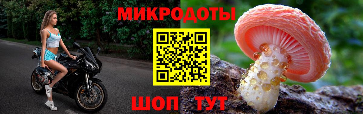 Галлюциногенные грибы прущие грибы Кандалакша